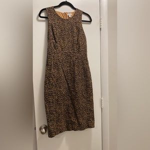 J Crew Factory Shift Dress
